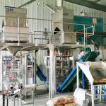 Divas Millet automātiskās iepakošanas iekārtas vienības pabeidz uzstādīšanu un atkļūdošanu mūsu klientu rūpnīcā