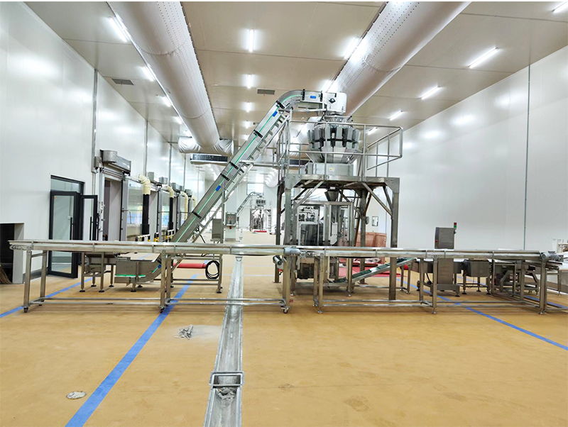 automātiskās iepakošanas mašīnas saldētas pārtikas