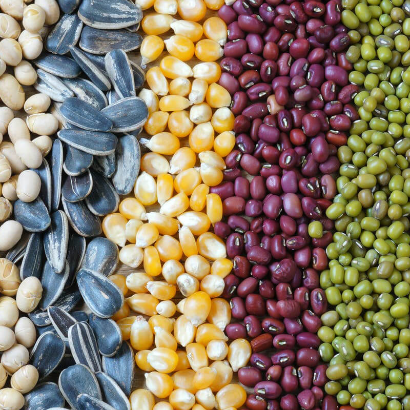 Automātiska sēklu iepakošanas iekārta